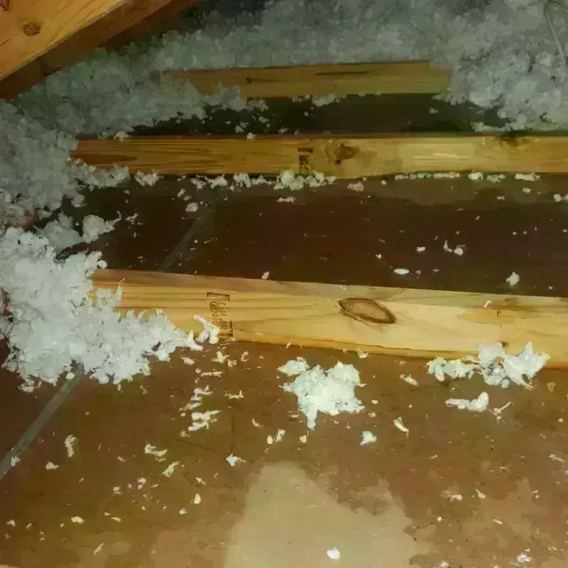 Attic Water Damage in National City, CA