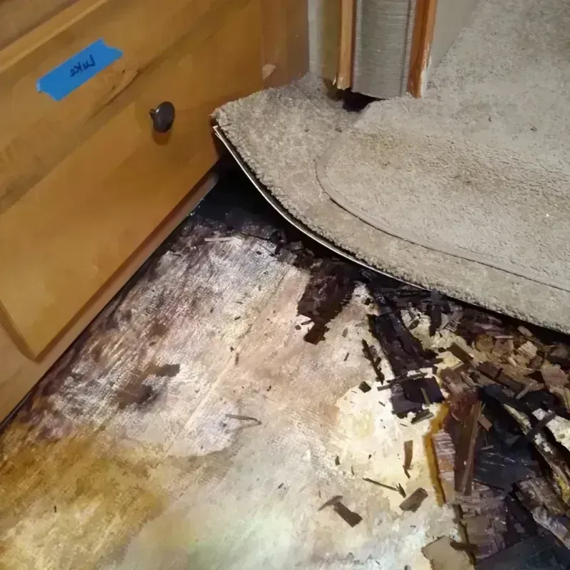 Wood Floor Water Damage in National City, CA